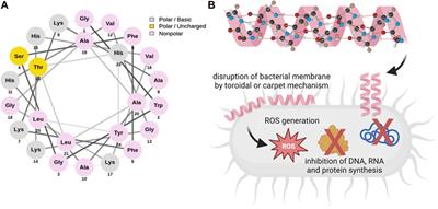 From antimicrobial to anticancer: unraveling the potential of pleurocidin and pleurocidin-derived peptides in the treatment of cancers